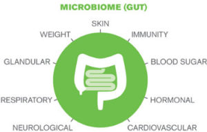 microbiome370